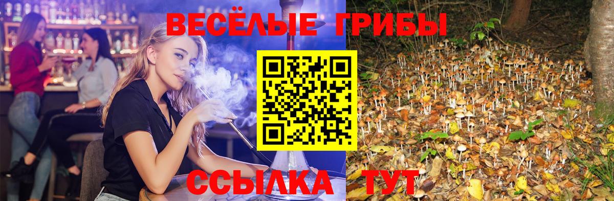 Псилоцибиновые грибы ЛСД Сарапул